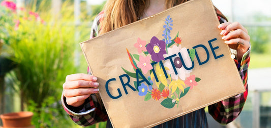 Sobriety and Daily Gratitude: A Powerful Combination for Positive Change