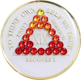 AA Glow in the Dark Medallion with Red Gradient Crystals