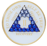 AA Glow in the Dark Medallion with Blue Gradient Crystals