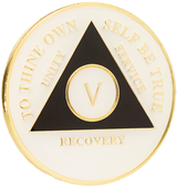 AA Glow in the Dark Recovery Medallion