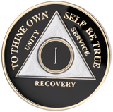 Classic Black & Silver AA Recovery Medallion | Years 1–65