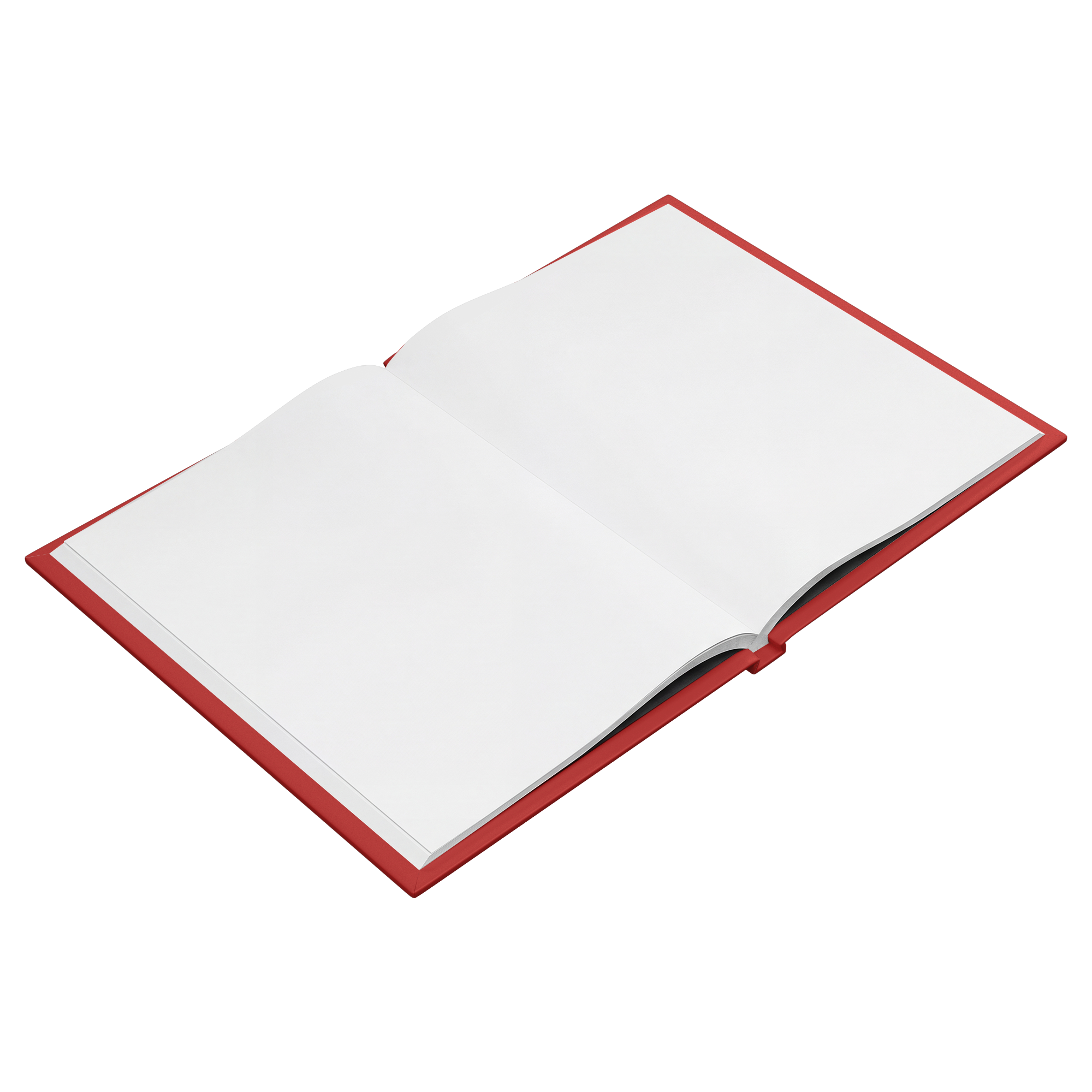 Gratitude hardcover journal blank pages angled view