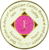NA Pink Glow in the Dark Recovery Medallion | Years 1–45