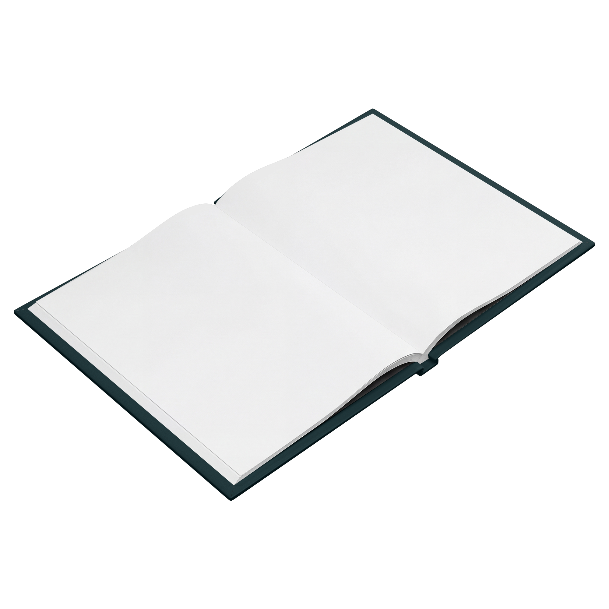 Art Nouveau Serenity Prayer journal blank pages angled view