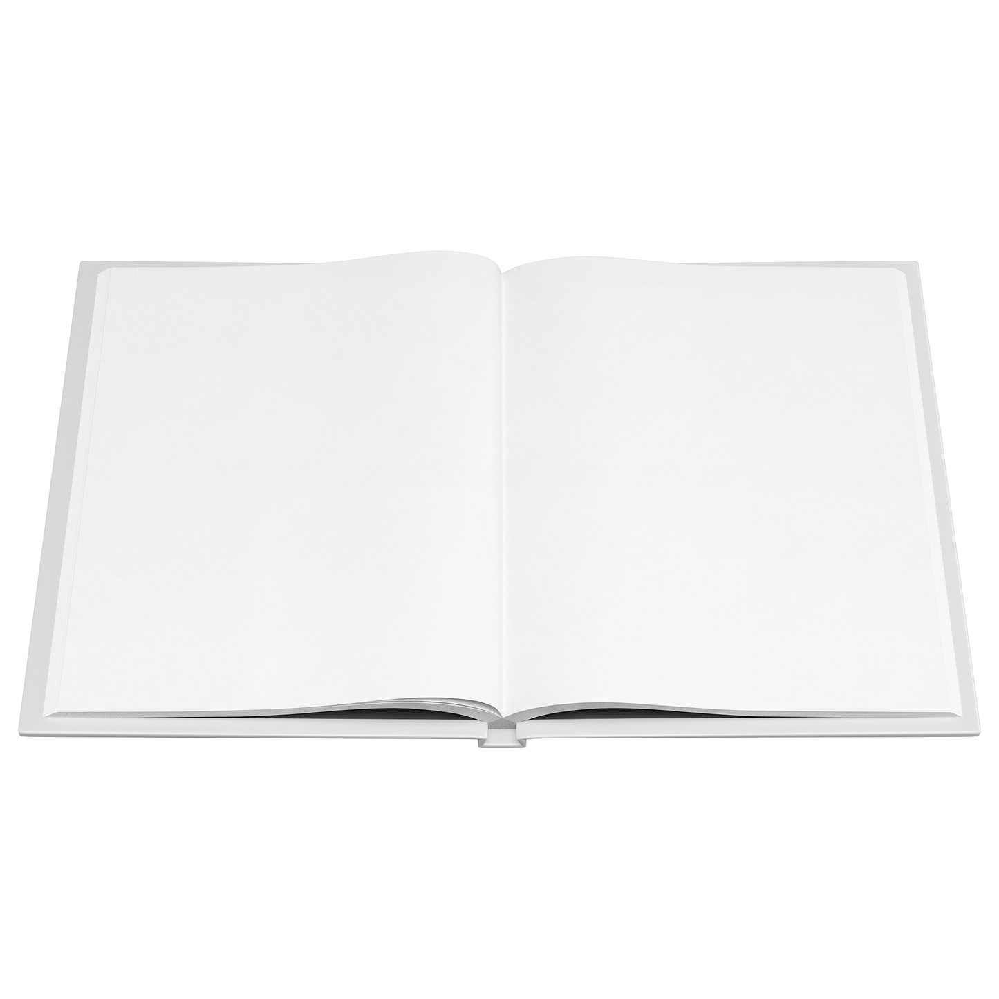 One Day at a Time VHS recovery journal blank pages flat view