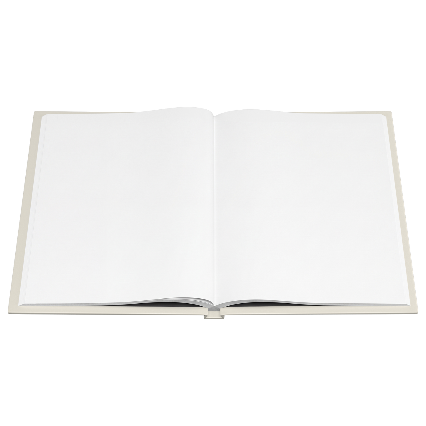 We Do Recover hardcover journal blank pages flat view