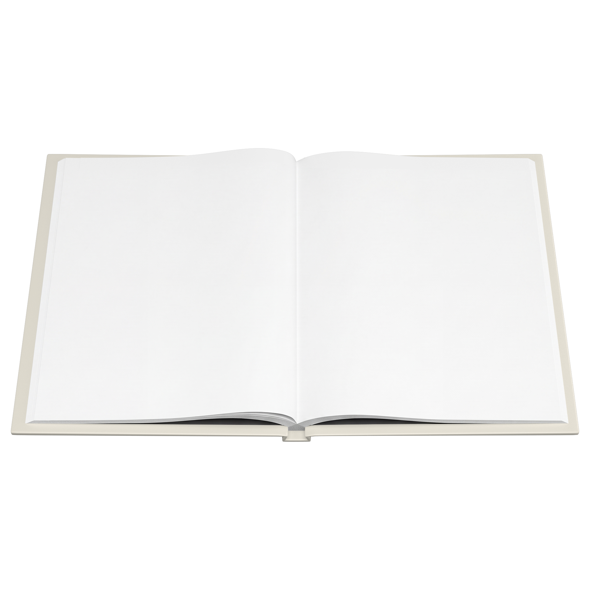 We Do Recover hardcover journal blank pages flat view